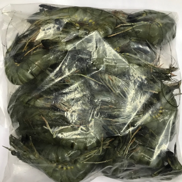

Udang Tiger / Pancet Fresh 1 kg