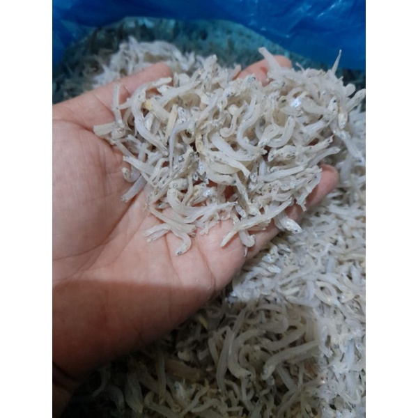 

teri nasi tawar