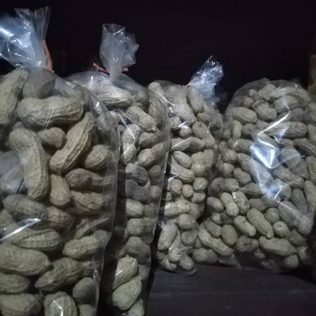 

Kacang tanah goreng -kacang sangrai-kacang goreng mbendo