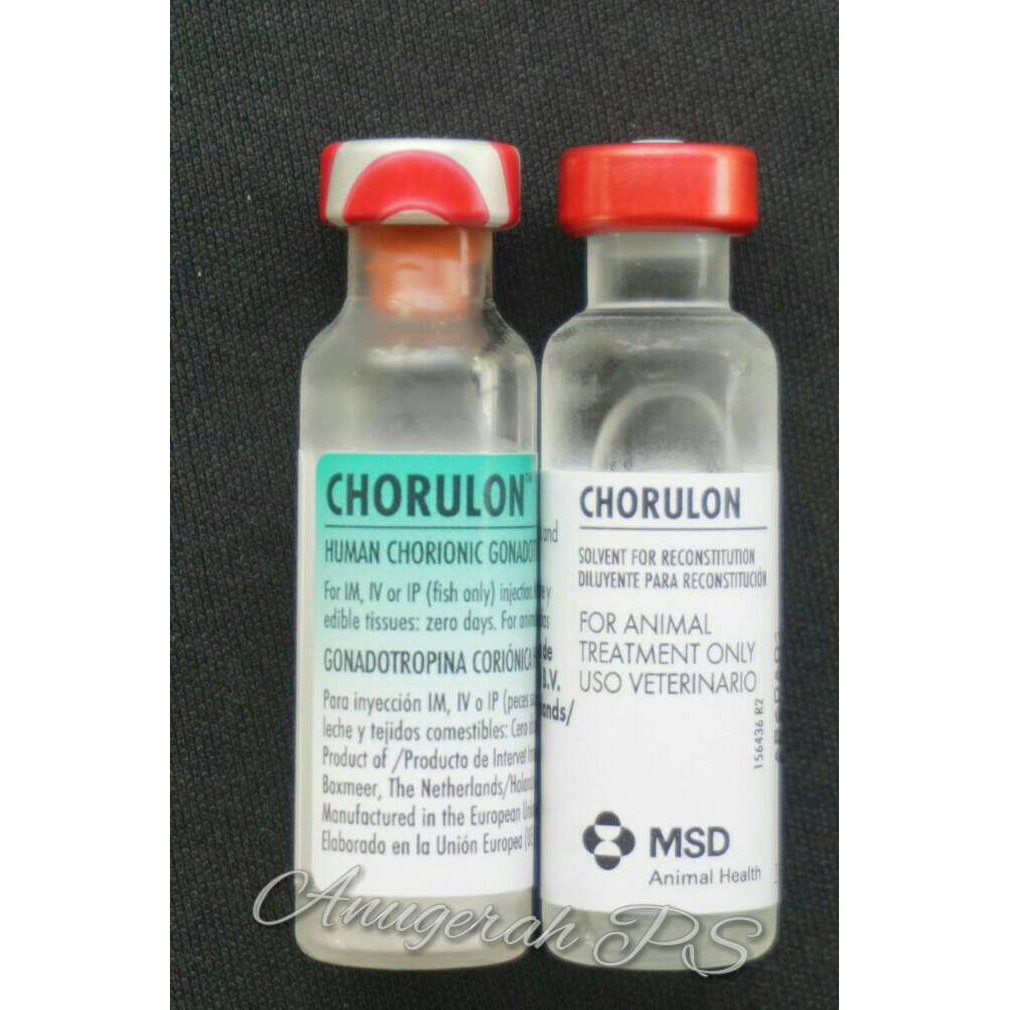 Hormon Ikan Chorulon Hcg 1500Iu Anps Buru Order