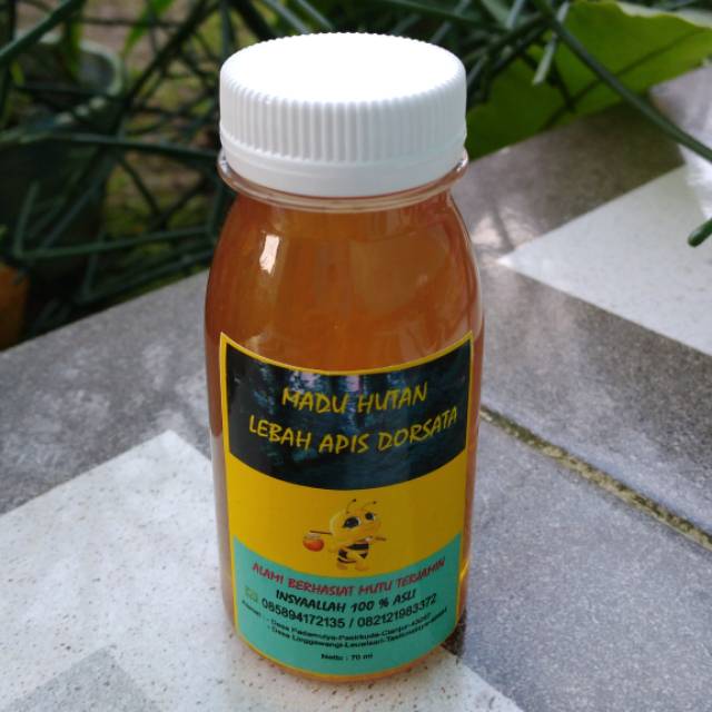 

Madu hutan asli 70ML