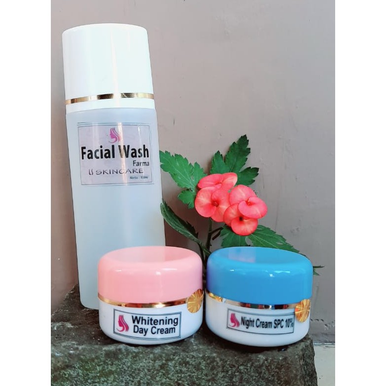 Paket Hemat Krim pemutih Wajah 3 in 1 SPC 10% Farma WDC