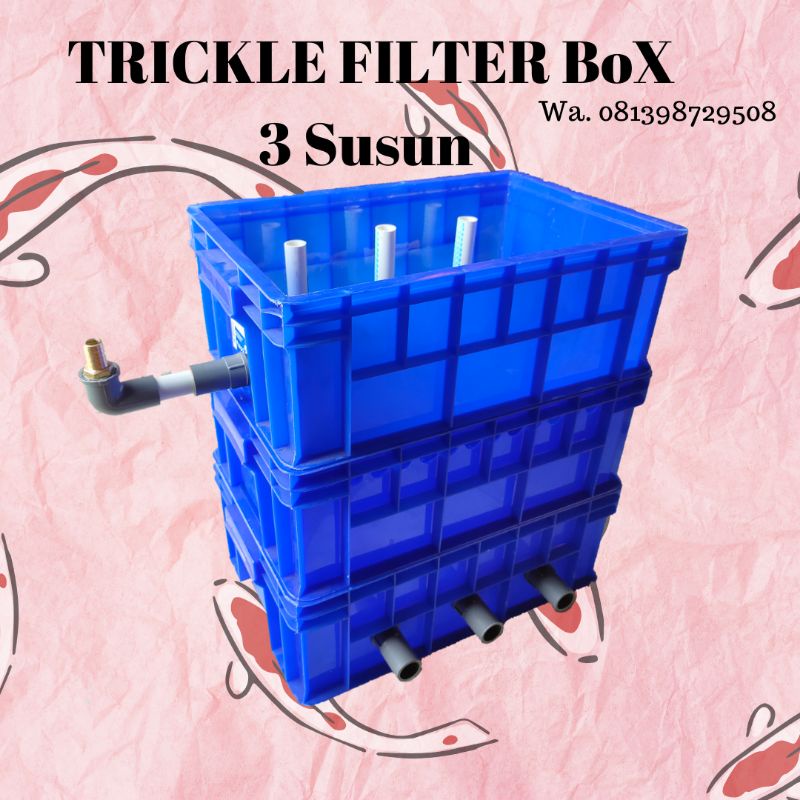 TRICKLE FILTER KOLAM KOI DENGAN BOX FILTER 3 SUSUN MINI