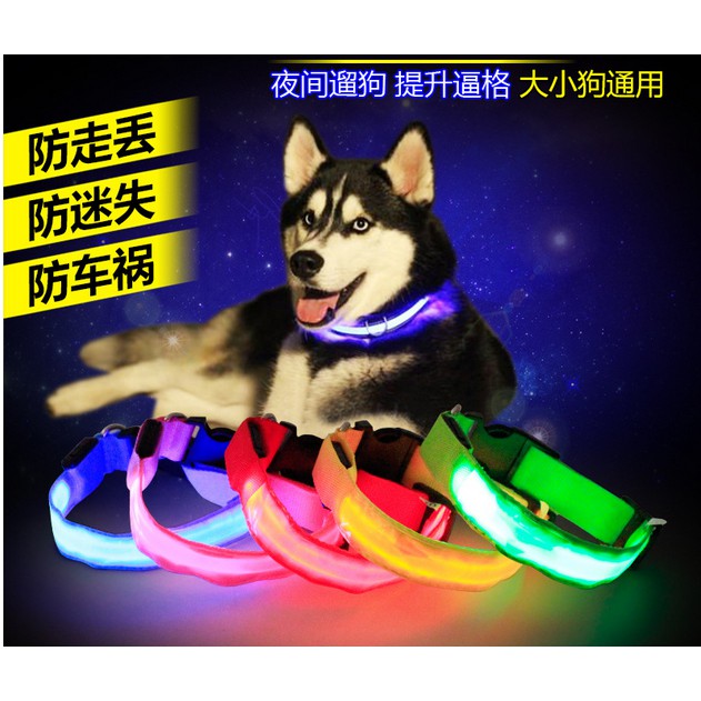 Kalung Anjing LED kalung Kucing Tali Anjing tali Kucing rantai anjing lampu
