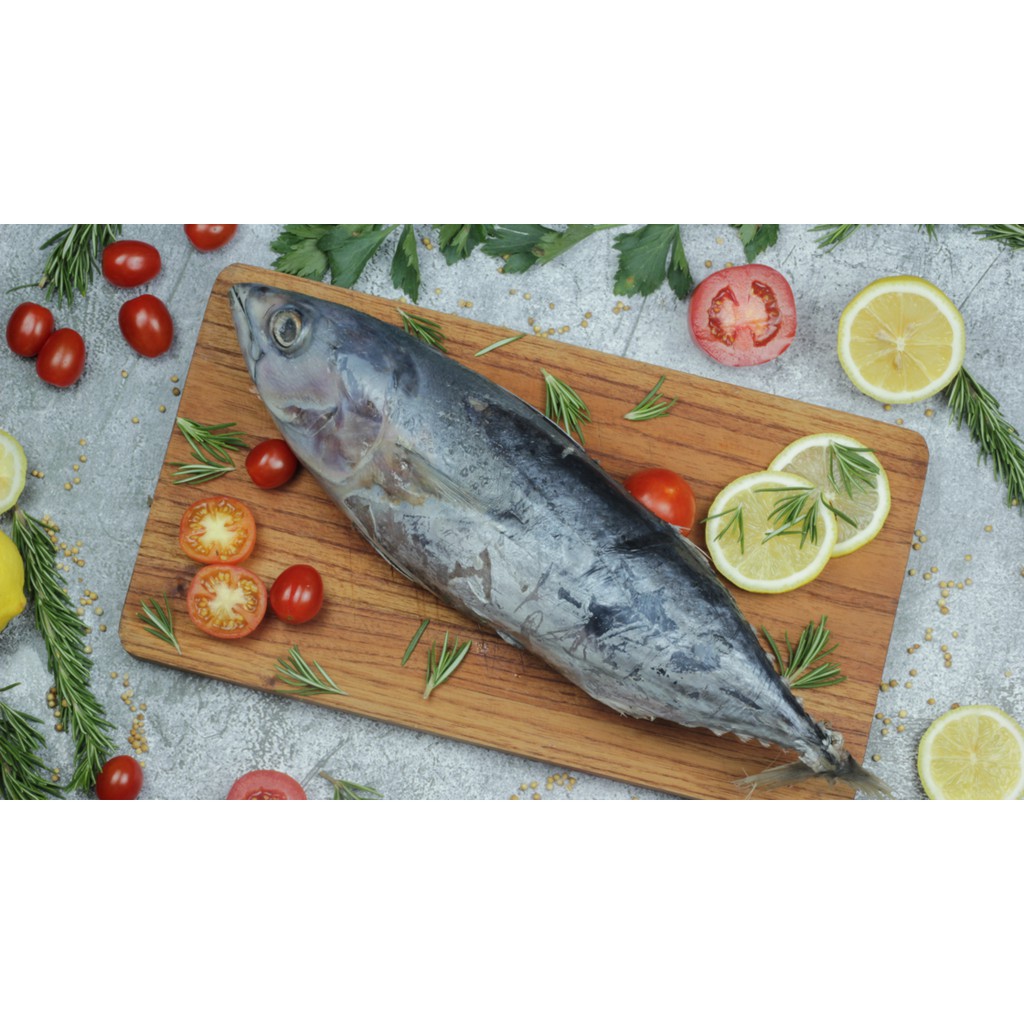 

IKAN CAKALANG SEGAR (Size 2-3 Ekor/kg - Beku Langsung Dari Kapal)