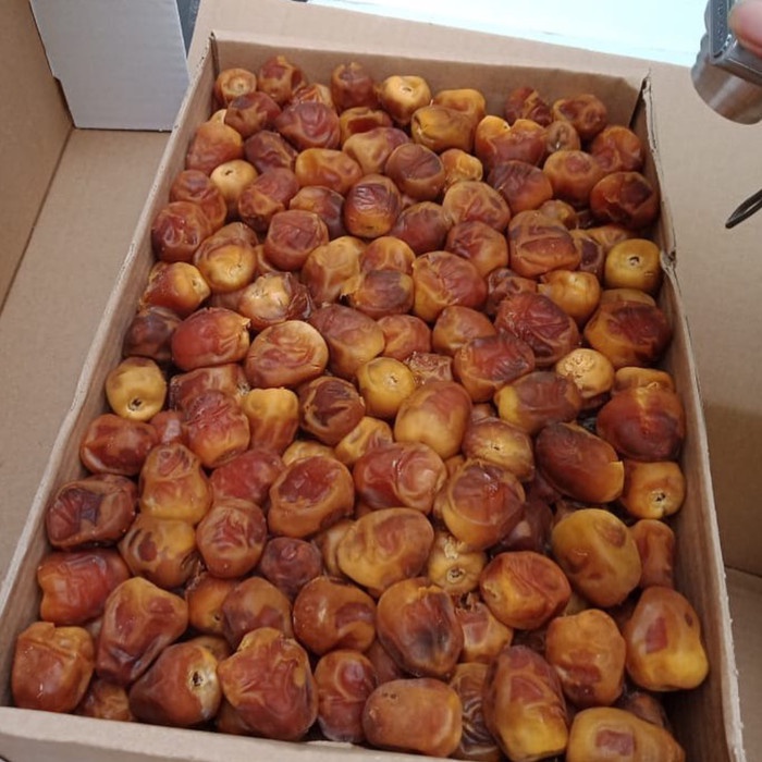 

kurma sukari 3kg