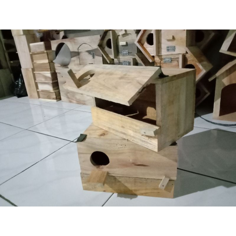 Glodok Burung Parkit kayu Mahoni Glodok Ternak Burung