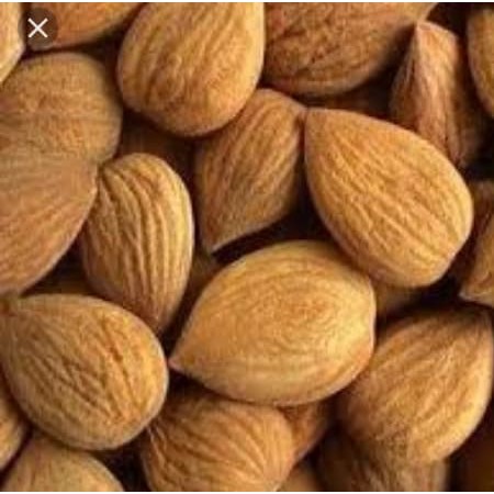 Biji aprikot pahit organik / Bitter apricot kernel organic Hunza