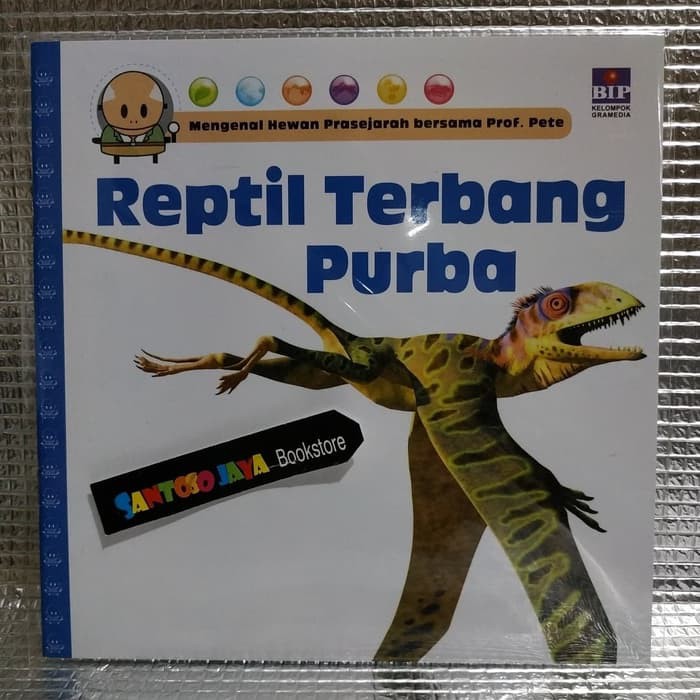 Mengenal Hewan Prasejarah Bersama Prof Pete Reptil Terbang Purba