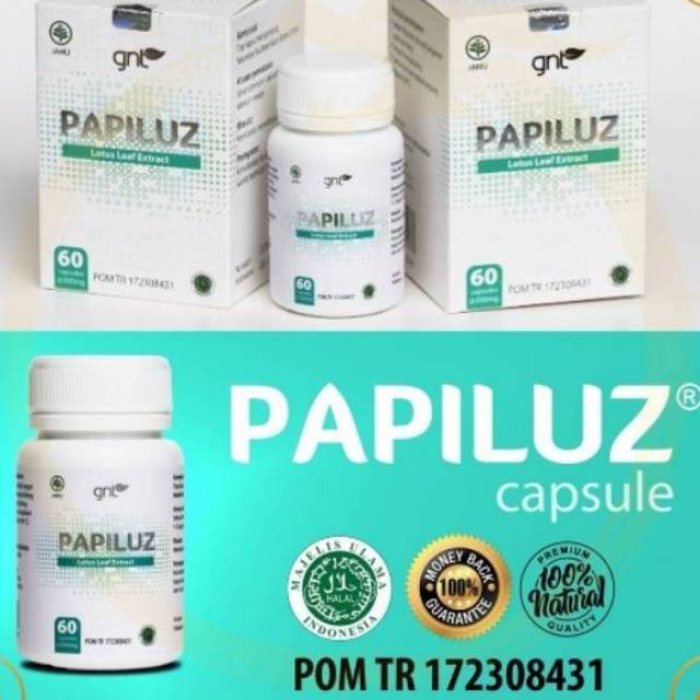 Diet sehat Papiluz.. Gnt fiber papilus 60 capsul asli