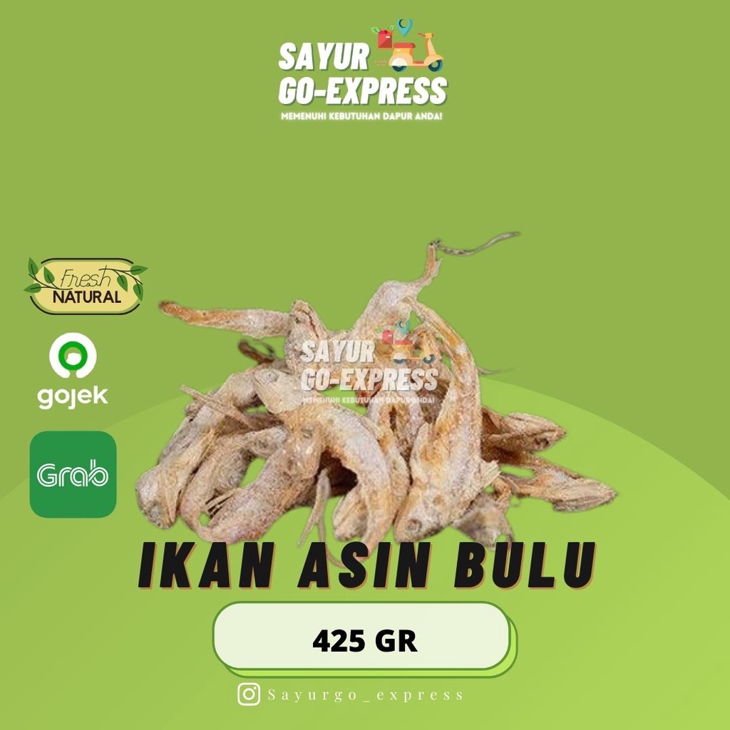 

Ikan Asin Bulu 100 gram