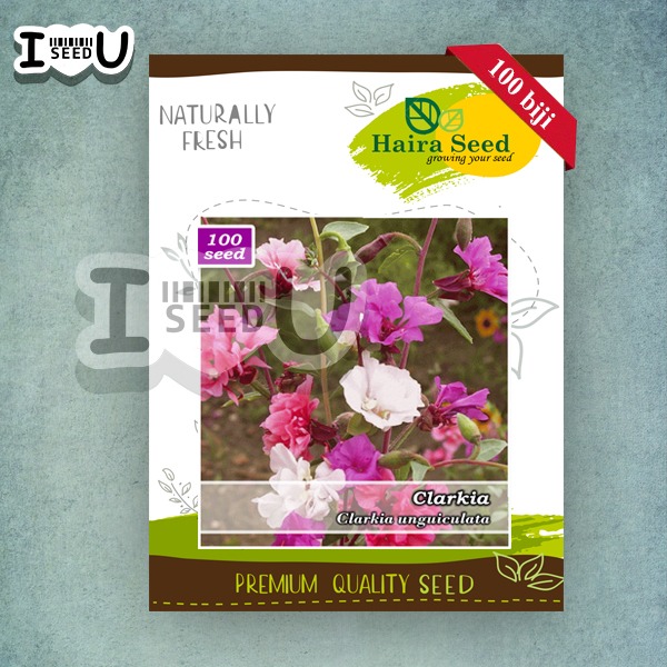 Haira Seed Bibit-Biji Bunga Clarkia