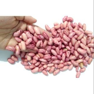 

Biji - Kacang Merah/Garut (250gr)