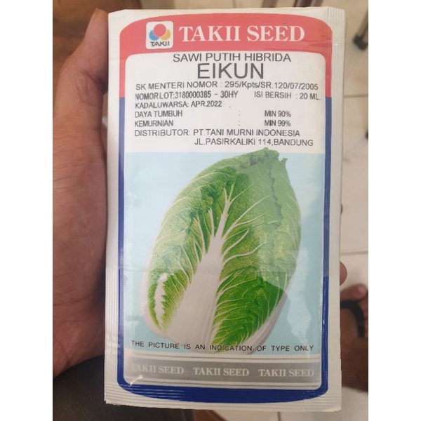 benih Sawi Putih eikun