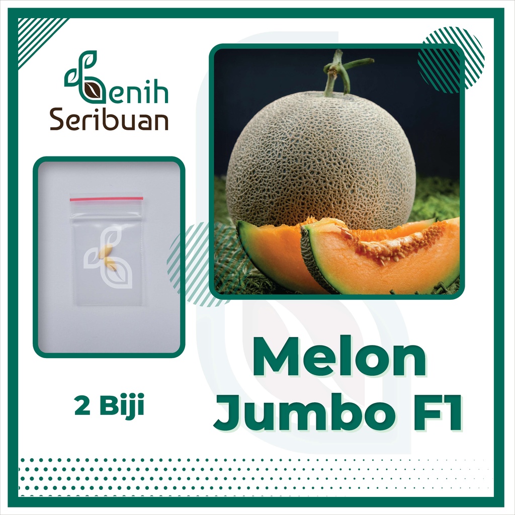 BS-BYL Benih Buah Bibit Tanaman Buah F1 Hibrida Unggul Anggur Strawberry Semangka Melon Labu Pepaya Jambu Blackberry Ciplukan Raspberry dll-MELON JUMBO