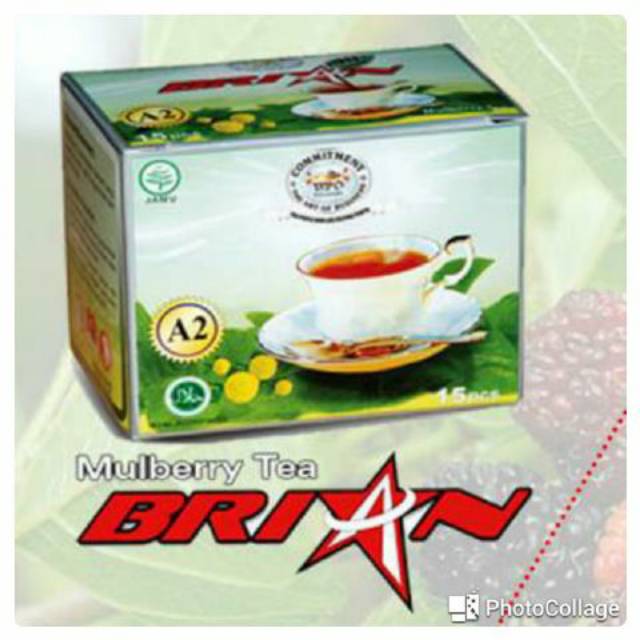 

TEH BRIAN (Teh Murbey)