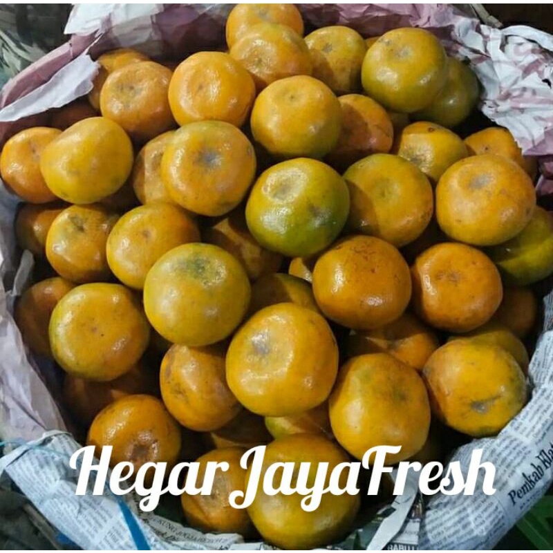 Jual Jeruk Brastagi Medan 1kg Indonesia Shopee Indonesia