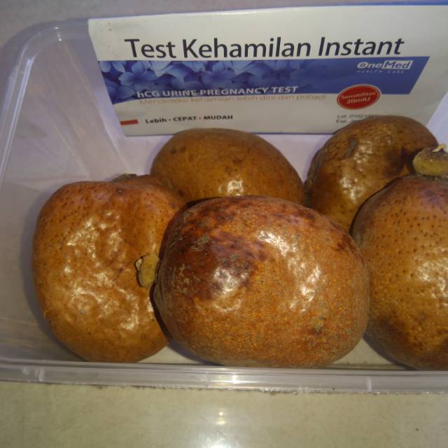 Buah Zuriat Free Test Pack Shopee Indonesia