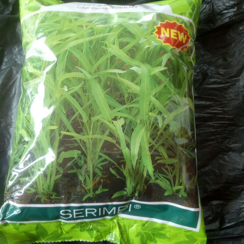 

kangkung serimpi