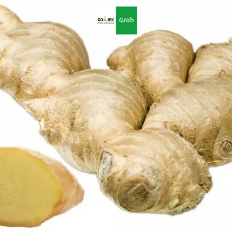 

lempuyang segar 500 gram