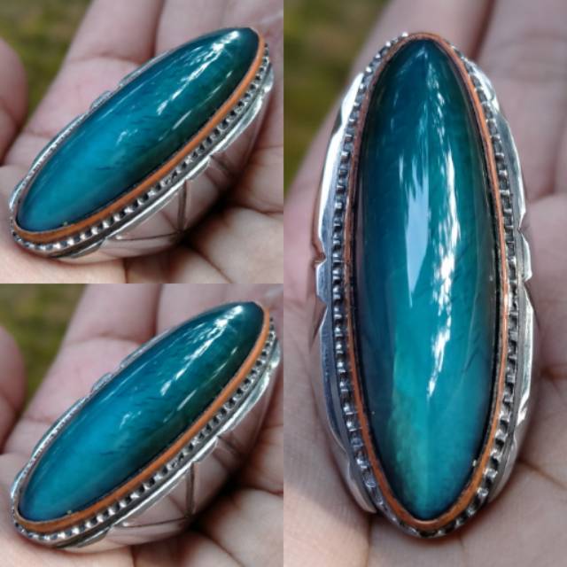 PANDAN BIRU LANGIT SISIK BETOK