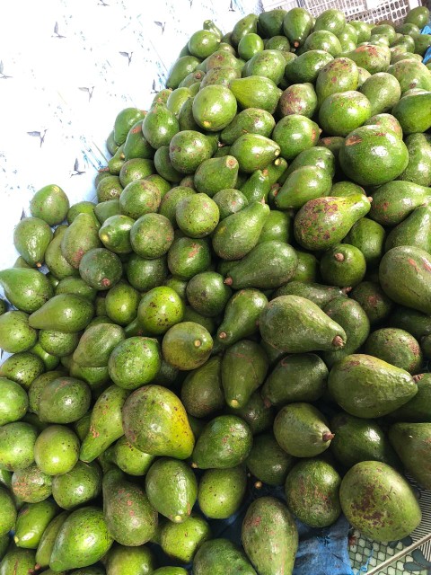 Sprei Katun Halus Bonita Disperse Size King 180 X 200cm