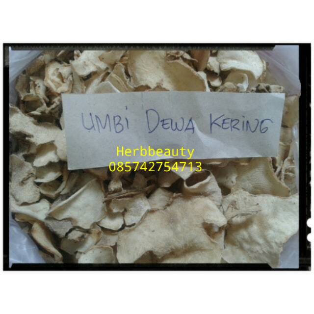

UMBI DEWA KERING / SAMSIT / GYNURA SAGETUM / OBAT KANKER / OBAT DIABETES 1 kg