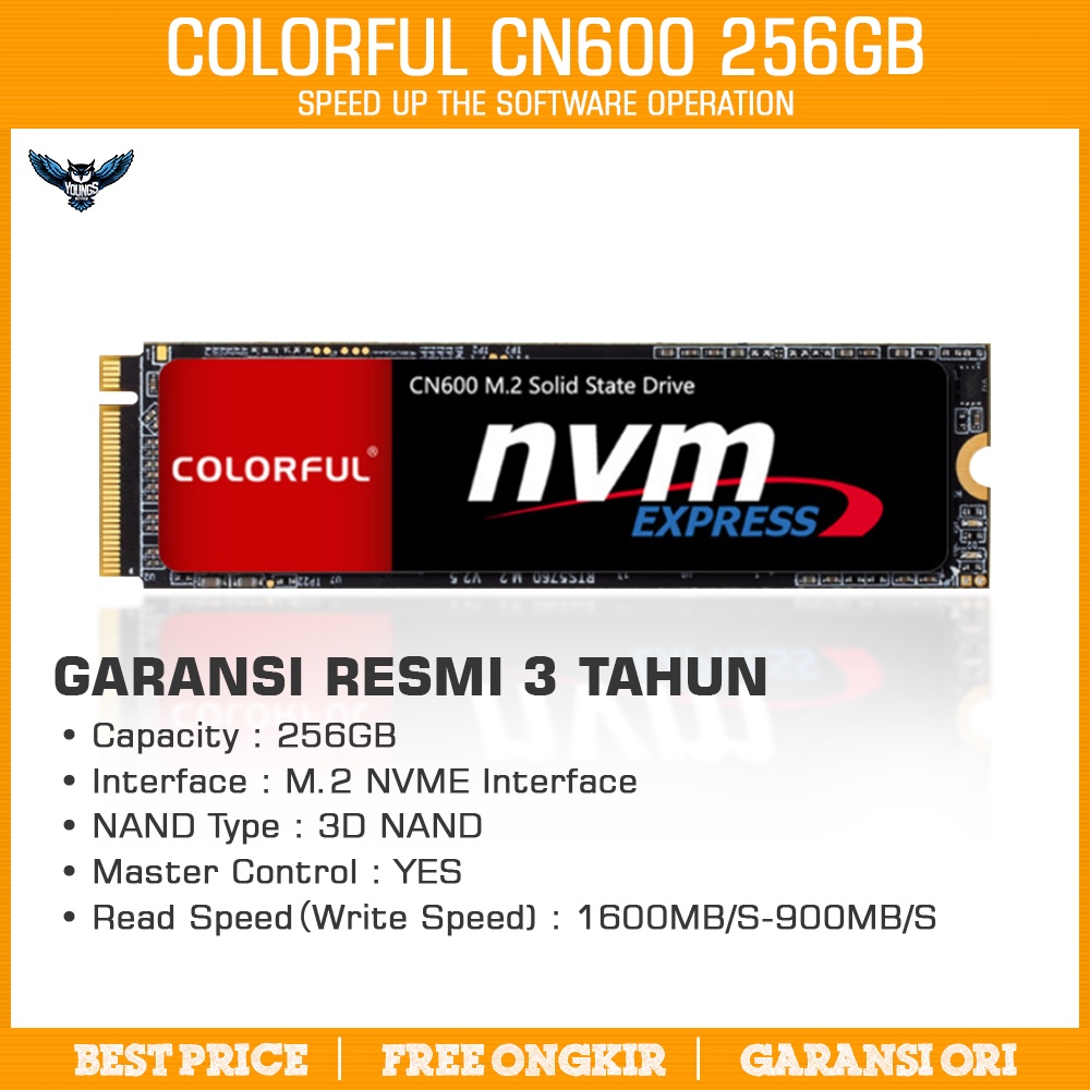 NVMe Colorful CN600 256GB - Garansi 3 Tahun M.2 3D Nand SSD M2 256 GB