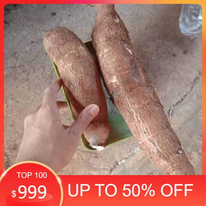 singkong mentega/ singkong kuning ukuran 1KG