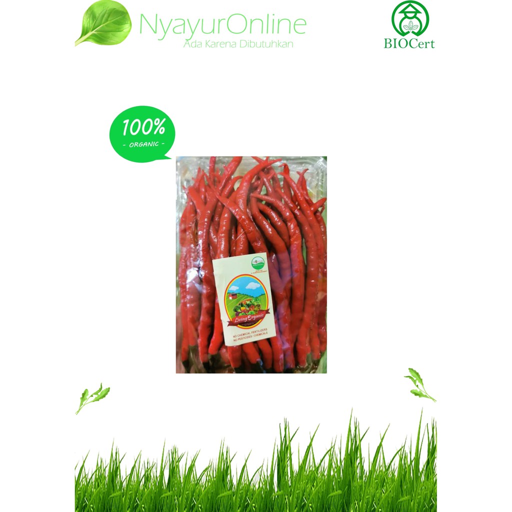 

Sayuran organik - Cabe Keriting Merah Organik 250 gram