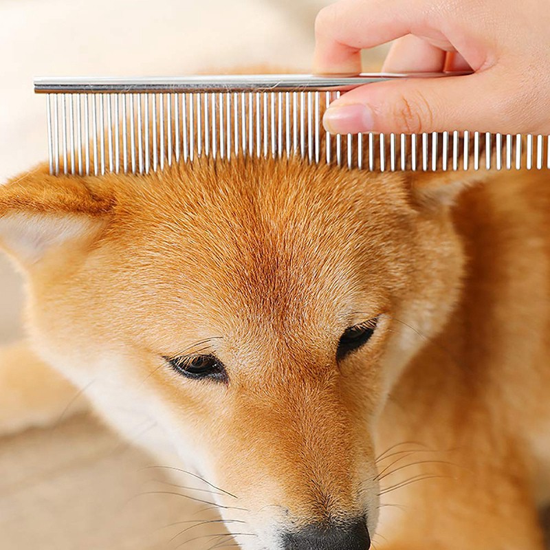 3pcs Gunting Grooming Bahan Stainless Steel Untuk Anjing / Kucing Peliharaan