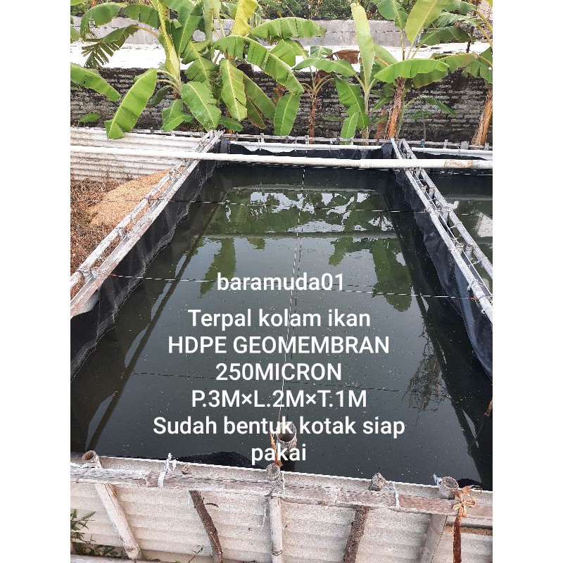 Terpal kolam ikan ukuran 3×2×1m HDPE Geomembran micron 250 kualitas terbaik sudah bentuk kotak