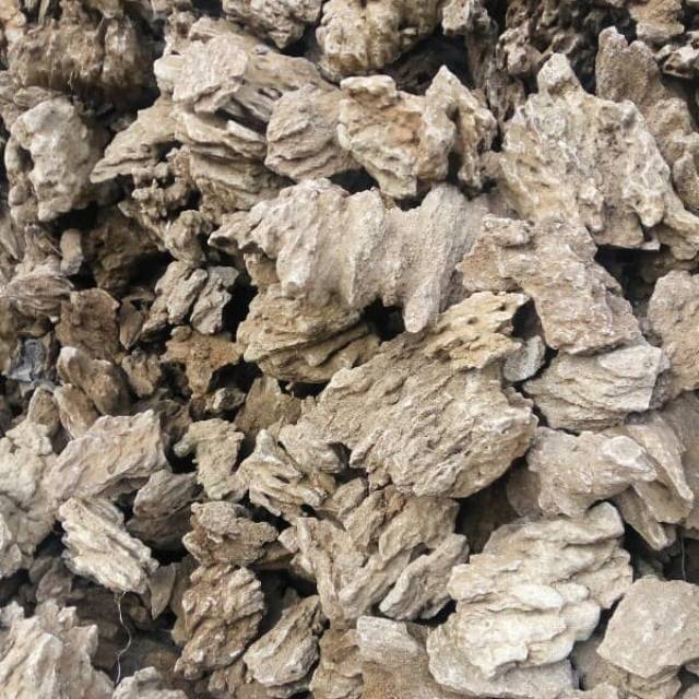  BATU  PASIR SAND STONE 1 KG GRADE A BATU  AQUASCAPE 