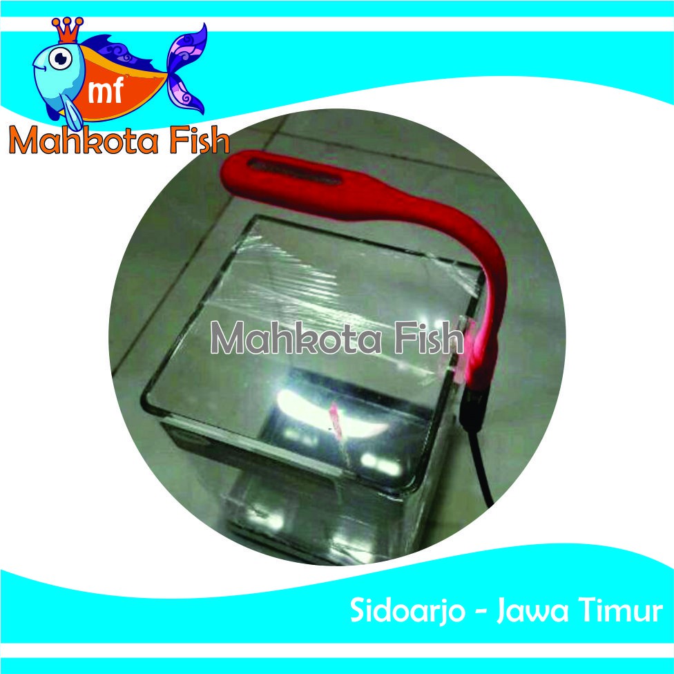 Lampu Aquarium USB | Lampu Cupang | Lampu USB (Ada Kabel USB dan Adaptor Cas) (GRATIS BUBLE WRAP)