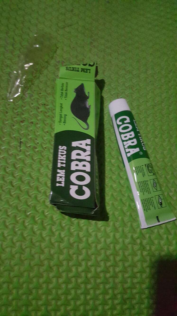 Lem Tikus Perekat Ampuh Perangkap Tikus Rumah I Lem Tikus Cobra Ampuh