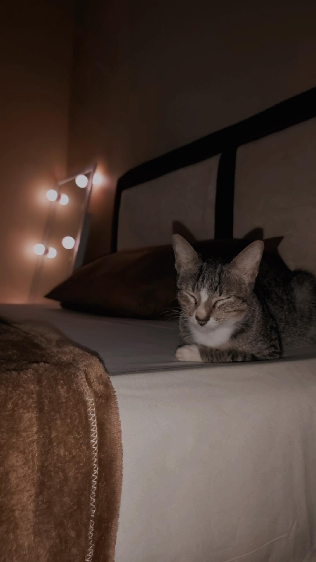 Atasan Batik Wanita Ppbtk07 Modern Batik Murah Cassual Atasanbatik Wanitabatik /atasanwanita...