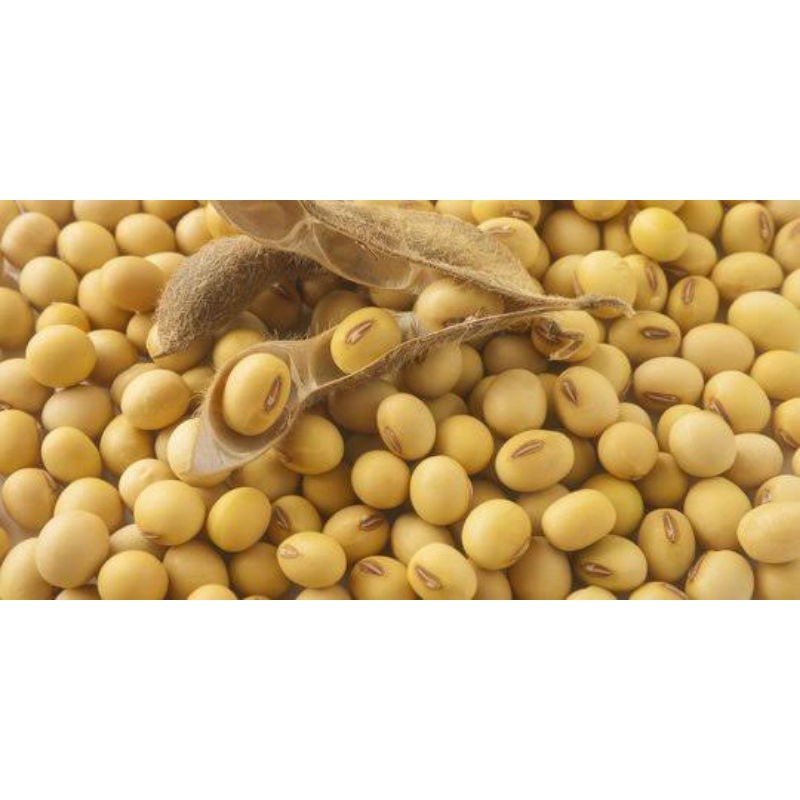 

kacang kedelai 250 gram