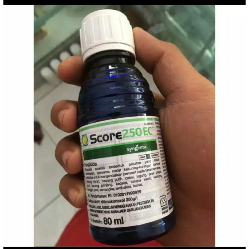 Score 80 ml