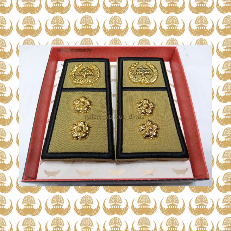 PANGKAT PNS BENGKULU GOLONGAN 4B