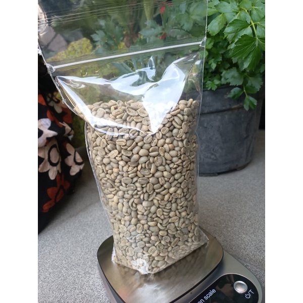 KOPI GAYO ACEH GREEN BEAN ARABIKA SEMI WASH 1KG