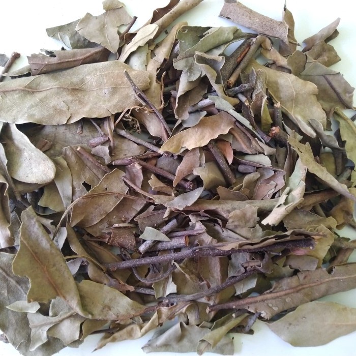 

ORIGINAL MURAH Benalu Teh / Herbal Benalu Teh Asli Dan Murni 100% , Kemasan 1kg