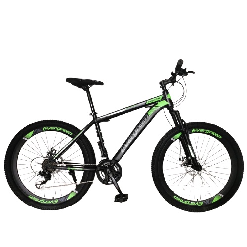 Sepeda Gunung / MTB 26" Evergreen R 580