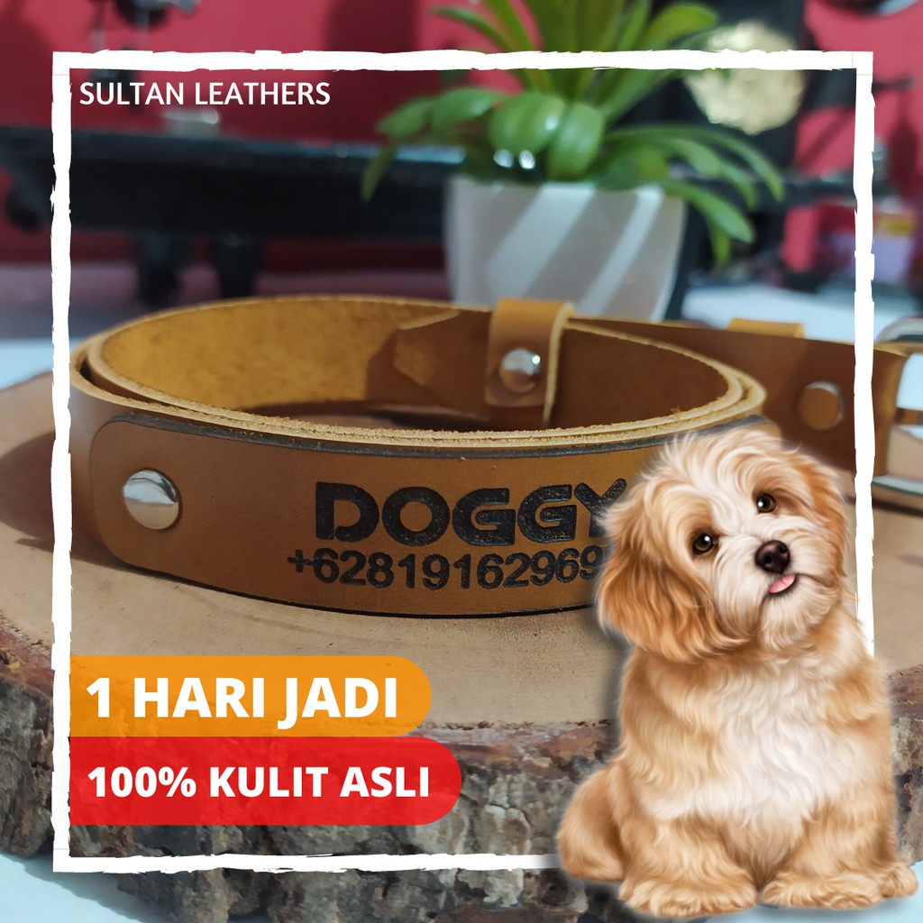 Kalung Anjing  Custom Nama dan  Gratis Lonceng Kalung 