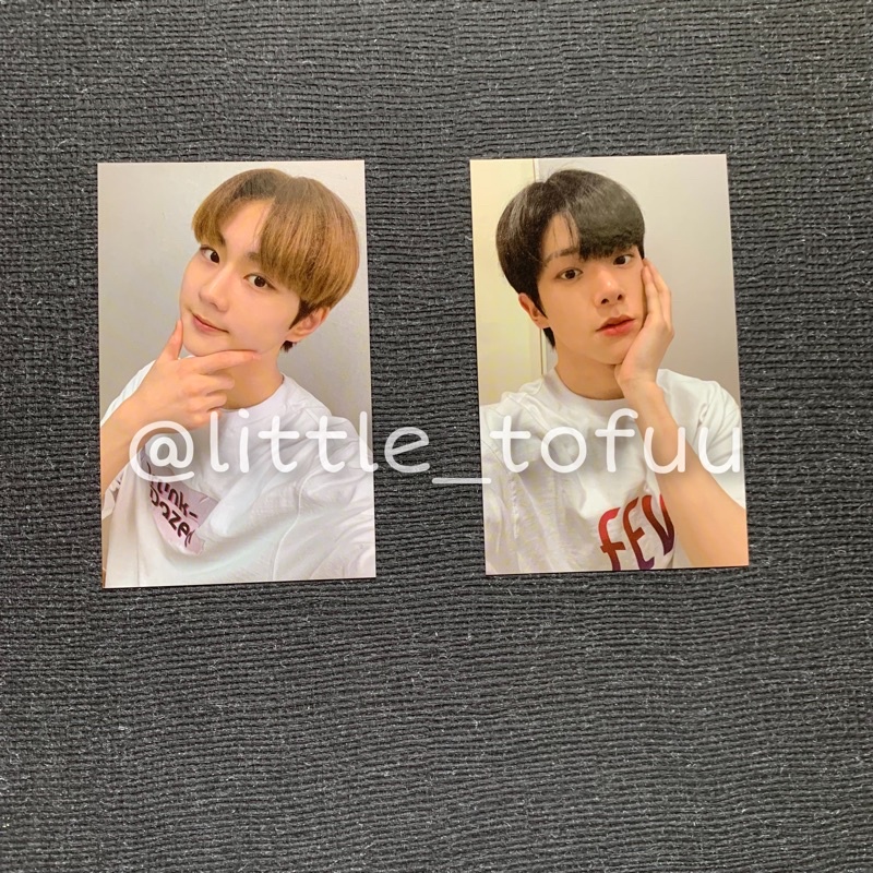 [official photocard] enhypen border carnival merch bdc uni pc jungwon jake jw