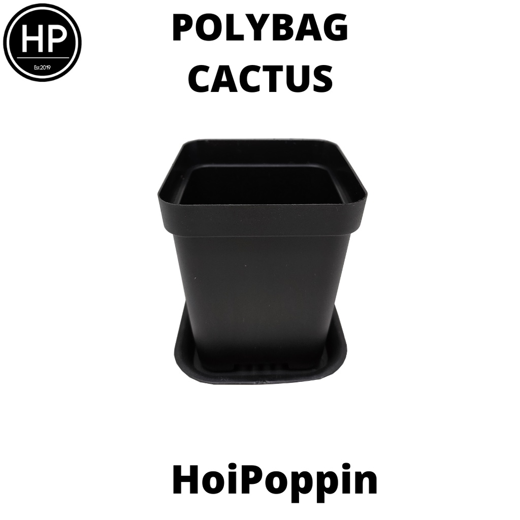 HPP - Polybag (Hitam) - cactus polybag - pot cactus - pot elastis - pot dan tatakan - pot - pot hias