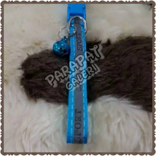 Kalung Kucing / anjing Motif Sport kwalitas Import