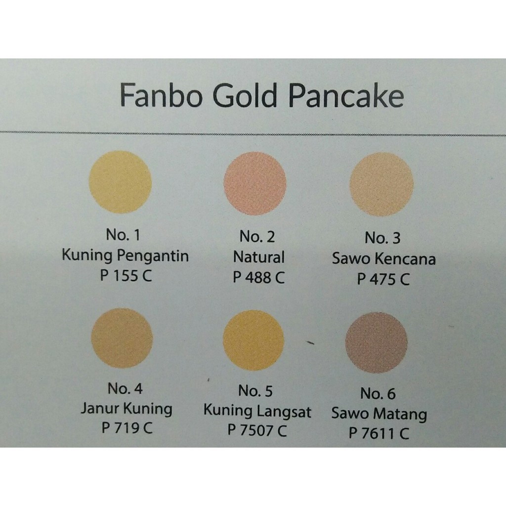 FANBO COMPACT POWDER GOLD 22,5gr -NC