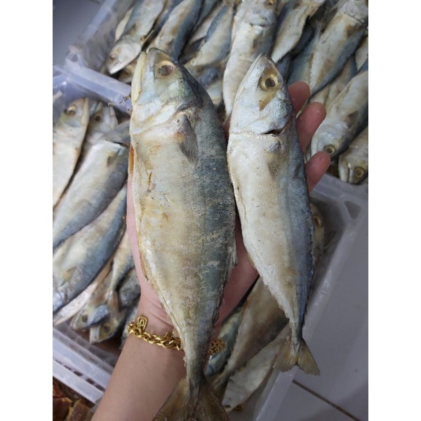 

IKAN ASIN PEDA PUTIH 1 KG