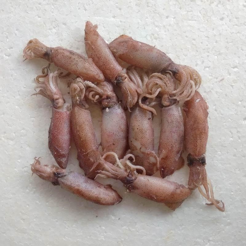 

Cumi Asin 250gr-500gr Pasar Bandung Berkah