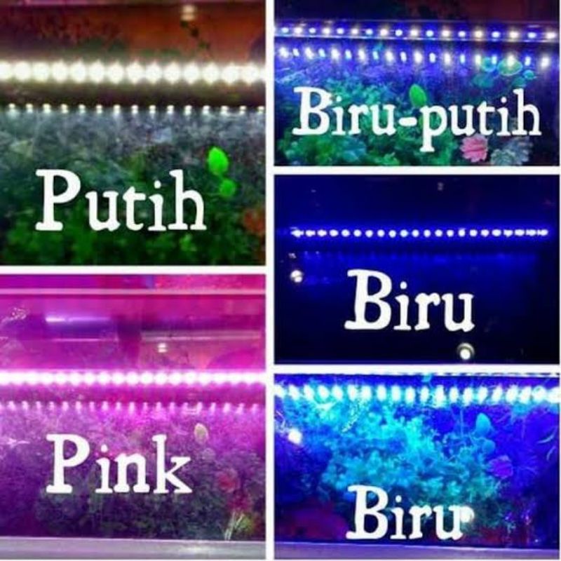 lampu celup 60 50 cm aquarium led full putih biru putih merah